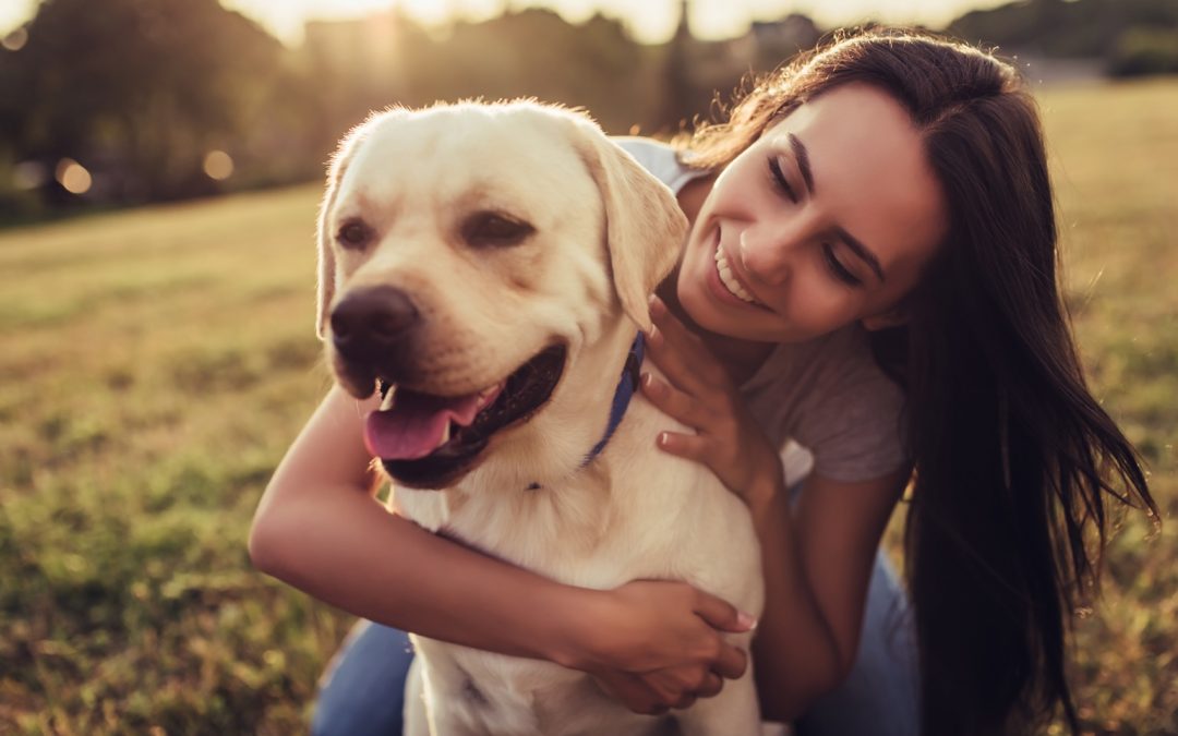 Economic replacement of synthetic antioxidants in pet foods