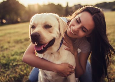 Economic replacement of synthetic antioxidants in pet foods