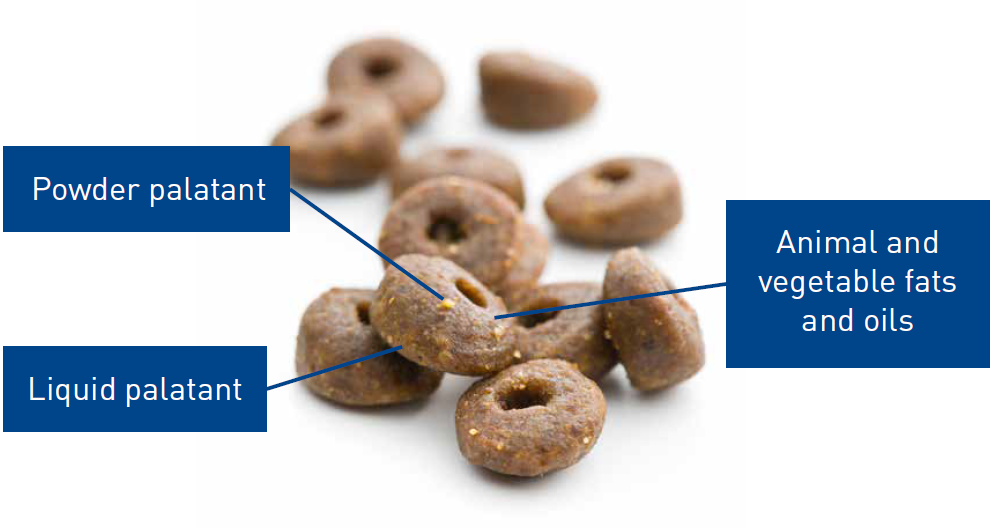 Fig4 Pet Food Supplement Magazine | InnovaFeed Industrial Symbiosis