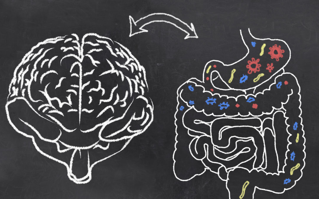 The Gut, the Brain and the  Well-Being of Pets