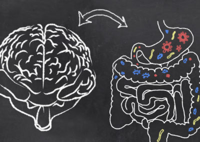 The Gut, the Brain and the  Well-Being of Pets