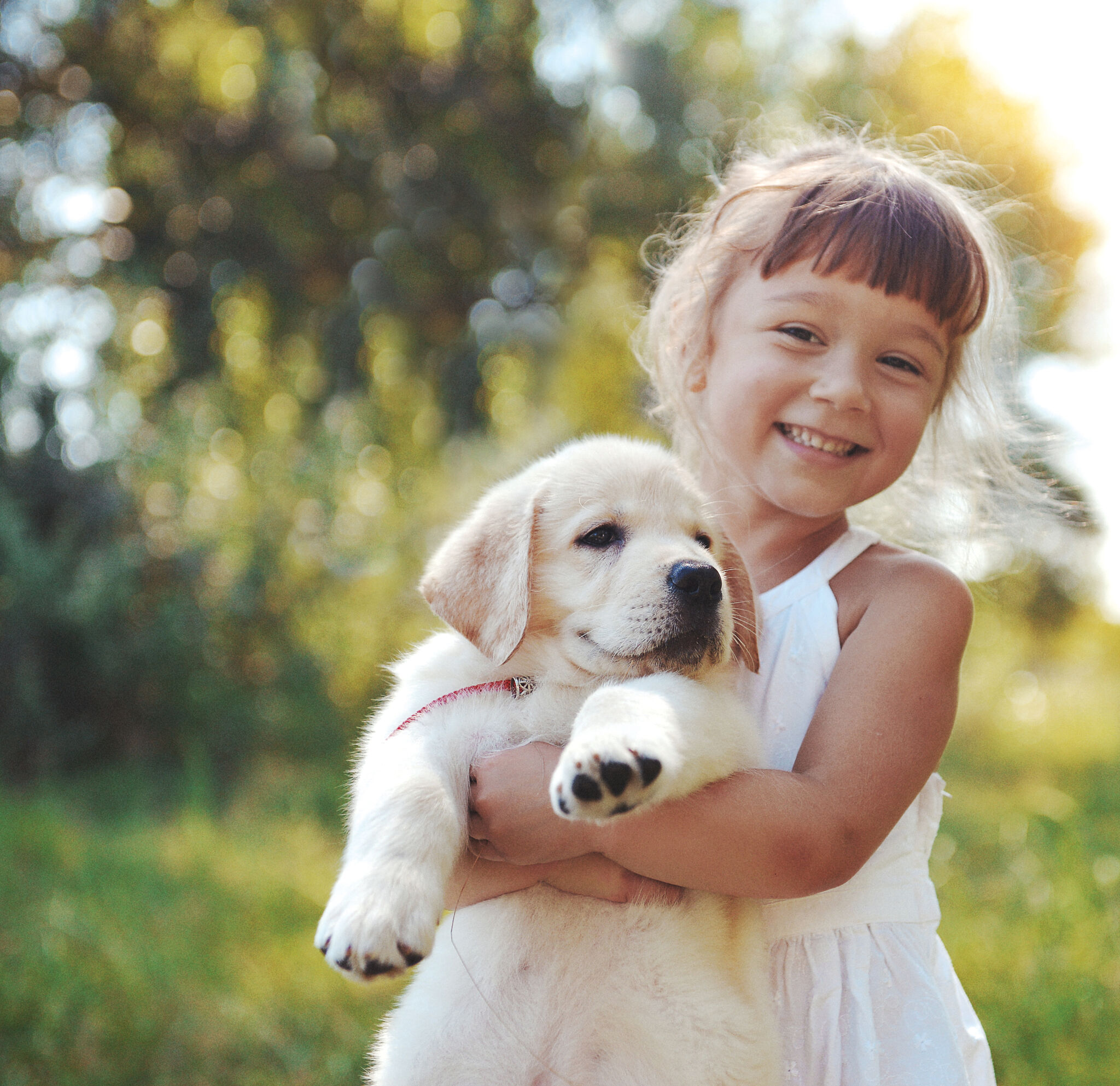 Little girl with a Golden retriever puppy Pet Food Supplement Magazine | Trouw | Dog and Kitten