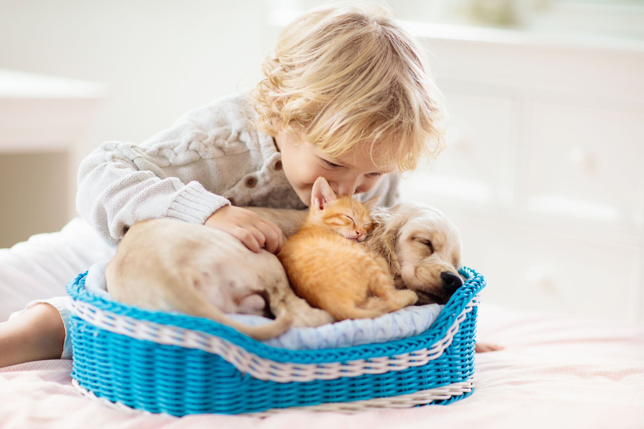 shutterstock-1485038282.2048