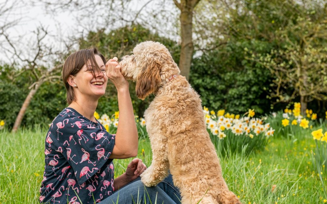 Postbiotic Technology Invigorates Pet Nutrition Solutions for Microbiome and General Health