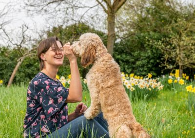 Postbiotic Technology Invigorates Pet Nutrition Solutions for Microbiome and General Health